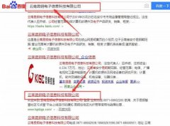 云南昆*電子信息科技有限公司網(wǎng)站建設案例欣賞