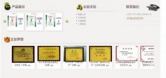 江西樂平*年青水泥有限公司網(wǎng)站建設(shè)營銷型案例作品