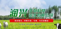 潤*生物科技張北有限公司網站設計基本流程