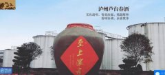 瀘州蘆*春酒業(yè)有限公司網站建設基本流程