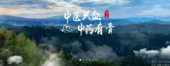 普洱淞*醫(yī)藥集團(tuán)有限公司網(wǎng)站建設(shè)新一代自助建站、智能建站系統(tǒng)