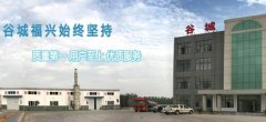 谷城縣福*化工有限公司網站建設有創(chuàng)意的主題設計