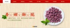 紅太*食品(榮成)有限公司制作網(wǎng)站新一代自助建站、智能建站系統(tǒng)