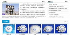 鄄城康*化工有限公司做網(wǎng)站展示型案例作品