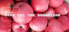 蓬萊百*果蔬食品有限公司網(wǎng)頁(yè)制作展示型案例作品